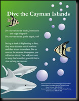 Cayman poster